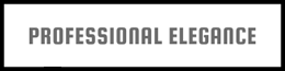 Professional Elegance Logo